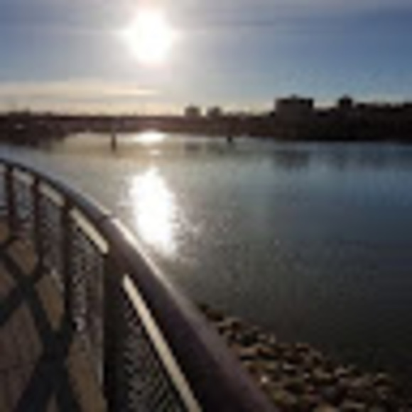 Meet your Posher, Dezarae - Picture 1 of 1